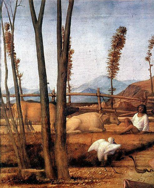 Giovanni Bellini Madonna of the Meadow oil painting picture
